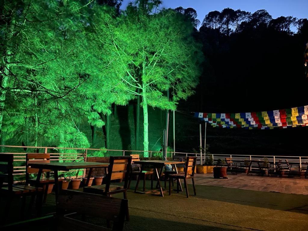 Hillcrest Heights Bed & Breakfast Kasauli Bagian luar foto