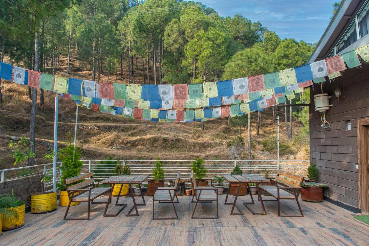 Hillcrest Heights Bed & Breakfast Kasauli Bagian luar foto